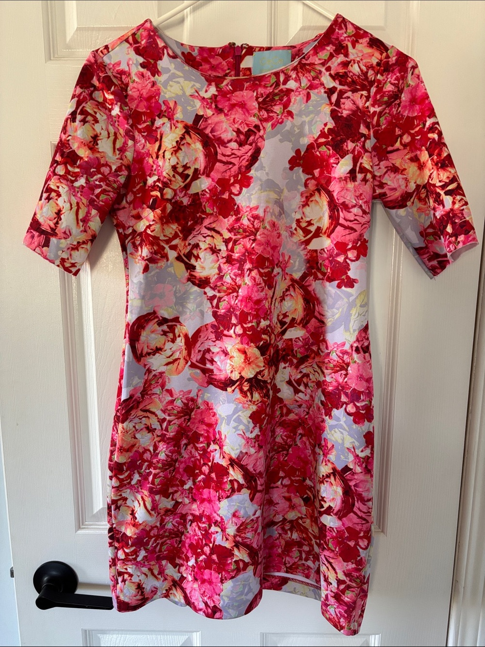 Cynthia Steffe Pink Floral Short-Sleeve Shift Dress